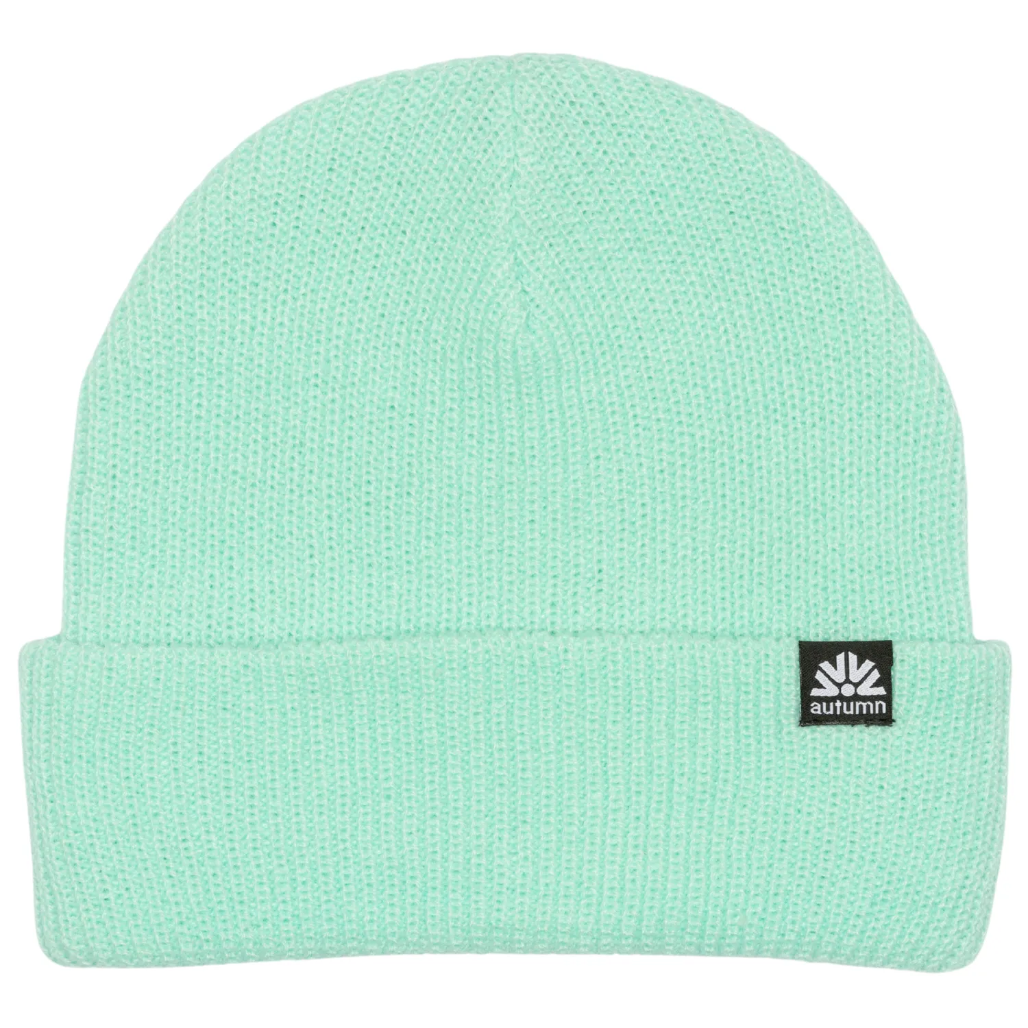 Autumn Simple Beanie 2024