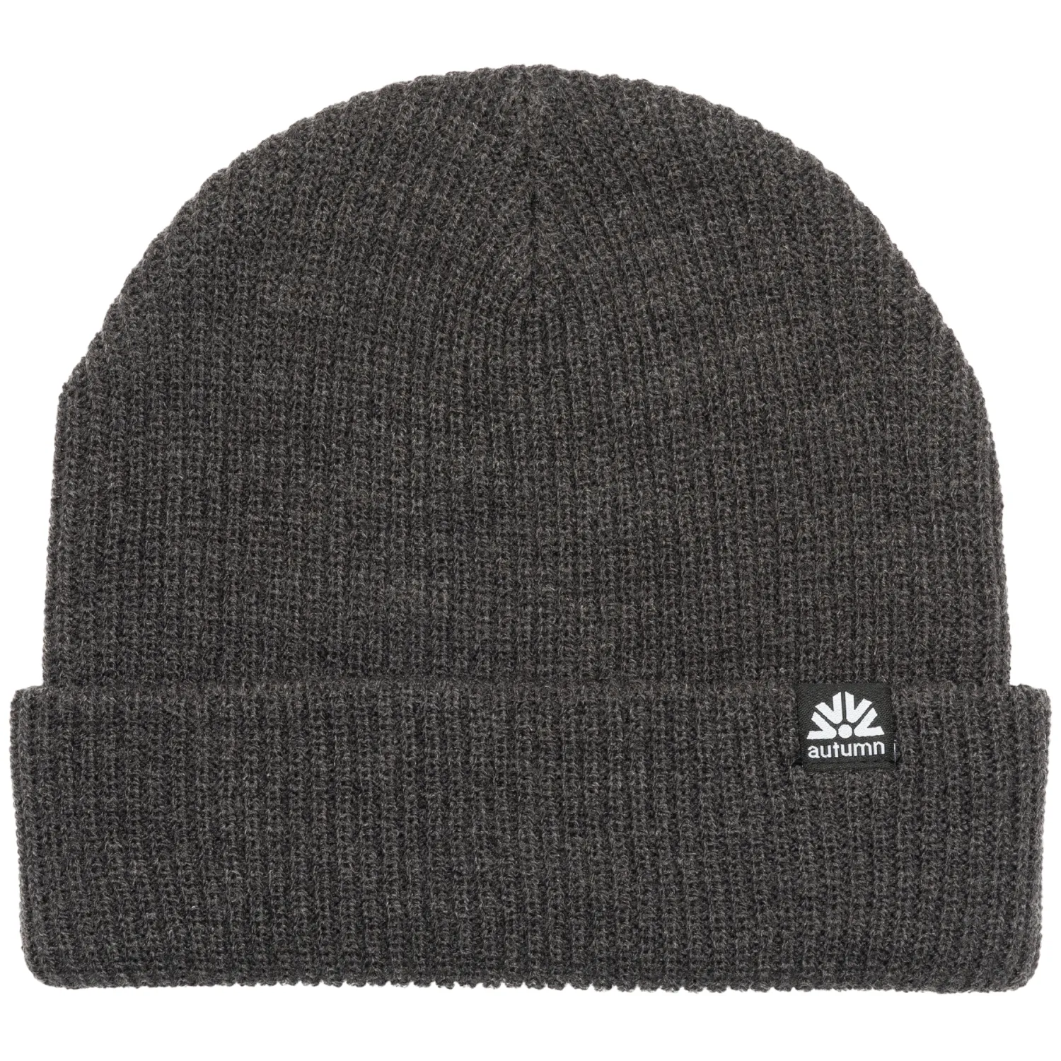 Autumn Simple Beanie 2024