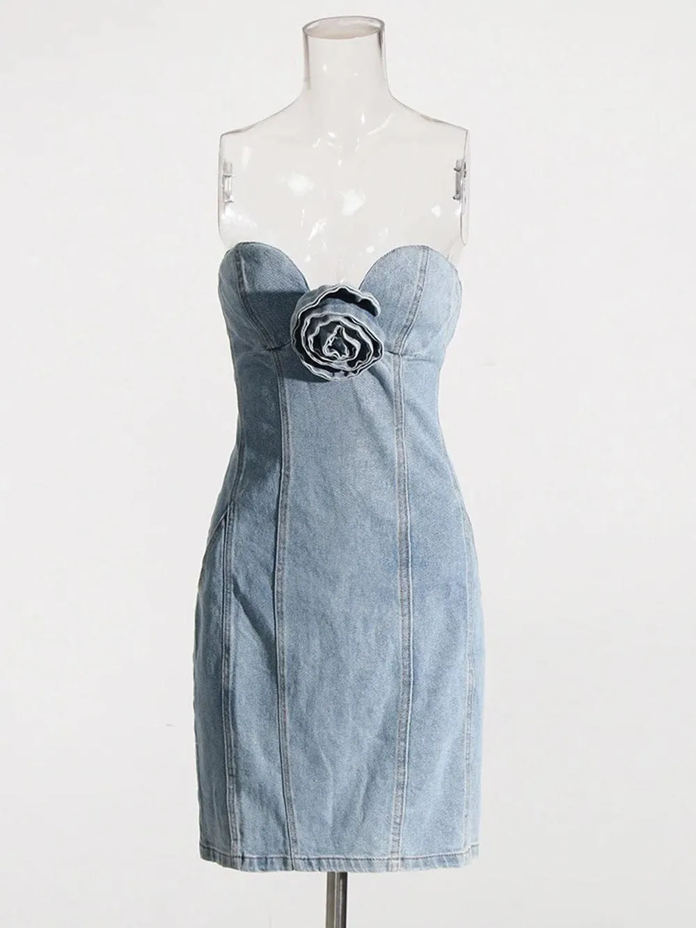 Brin Denim Appliques Mini Dress