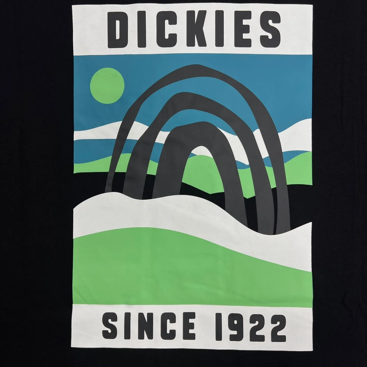 Dickies Baker City Graphic Print T-Shirt