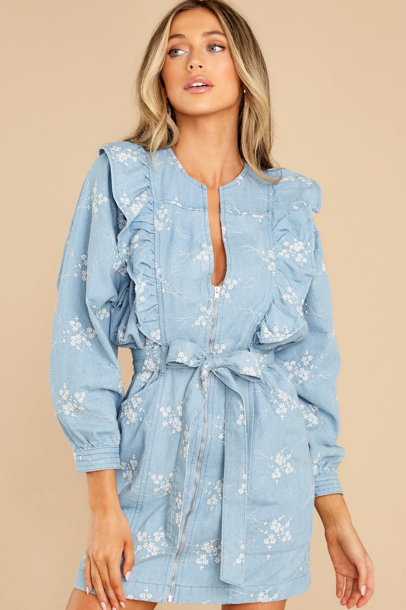 My Lucky Star Floral Embroidered Denim Dress