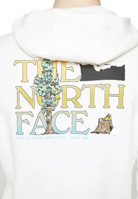 The North Face Mens Seasonal Graphic Hoodie Gardenia White Brandy Brown