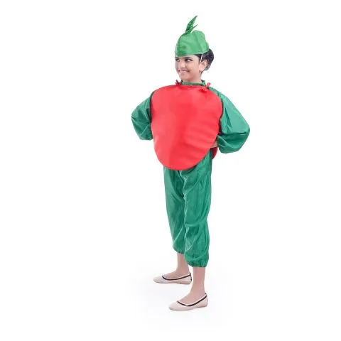 Tomato Costume for boys and Girls for Fancy dress competitions