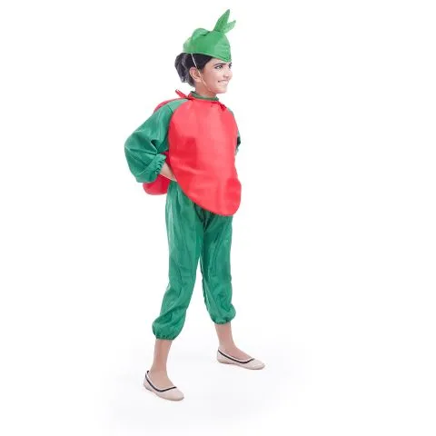 Tomato Costume for boys and Girls for Fancy dress competitions